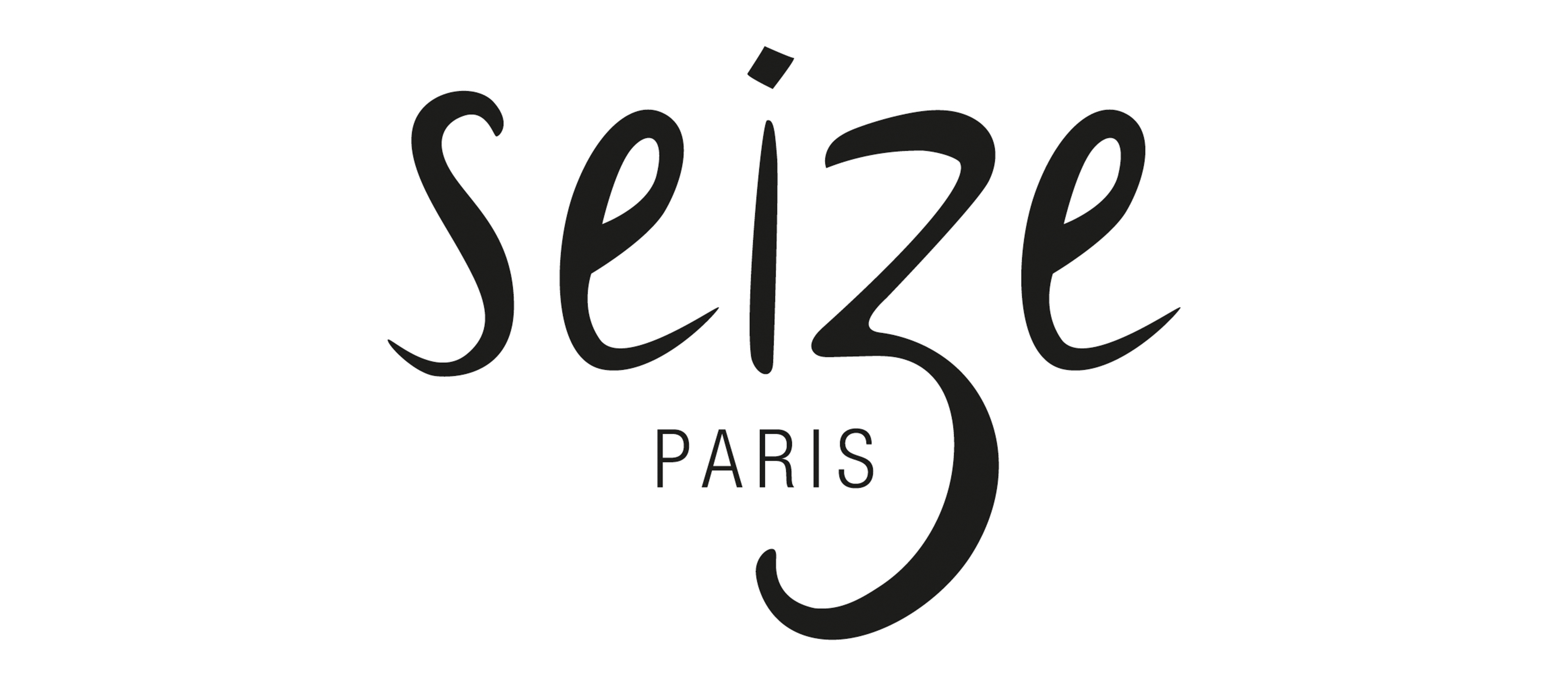 logo_seize